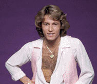 Andy Gibb